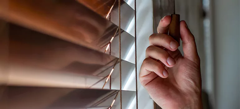 Double Roller Blinds in Redwood City, CA