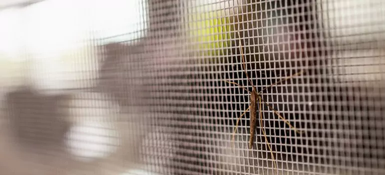 Repair Mosquito Mesh For Windows in Redwood City, CA